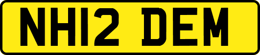 NH12DEM