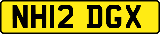 NH12DGX