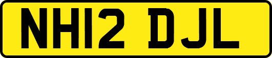 NH12DJL