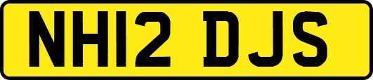 NH12DJS