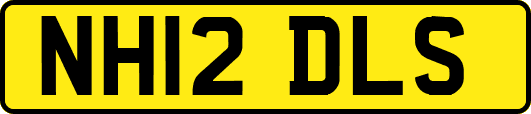 NH12DLS