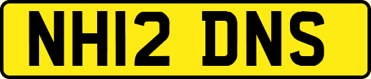 NH12DNS