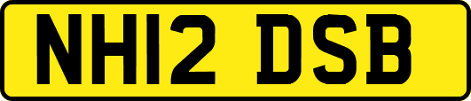 NH12DSB