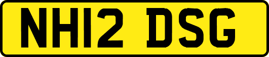 NH12DSG