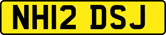NH12DSJ