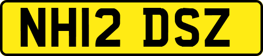 NH12DSZ