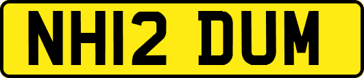 NH12DUM
