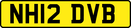 NH12DVB