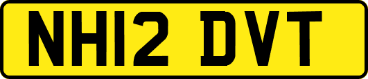 NH12DVT