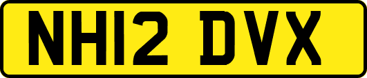 NH12DVX