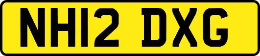 NH12DXG