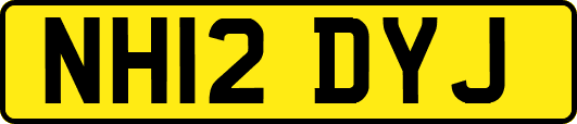 NH12DYJ