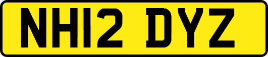 NH12DYZ