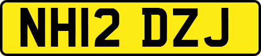 NH12DZJ