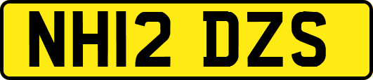 NH12DZS