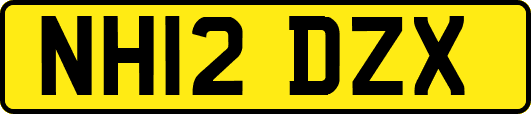 NH12DZX
