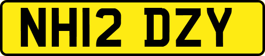 NH12DZY