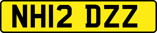 NH12DZZ