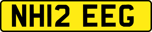 NH12EEG