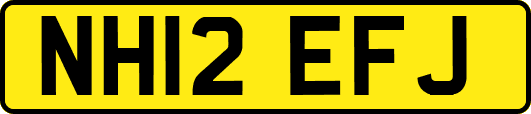 NH12EFJ