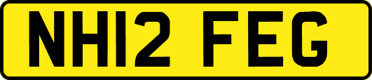 NH12FEG