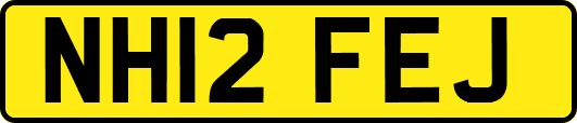 NH12FEJ