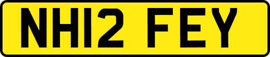 NH12FEY