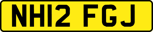 NH12FGJ