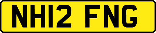 NH12FNG