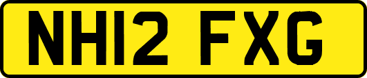 NH12FXG