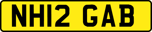 NH12GAB