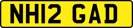 NH12GAD