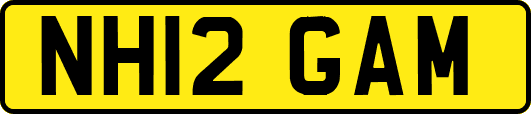 NH12GAM