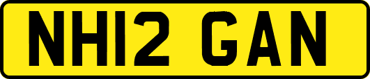 NH12GAN