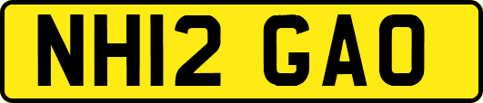 NH12GAO