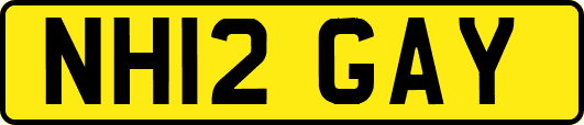 NH12GAY