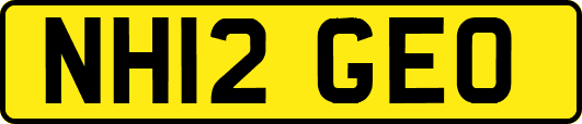 NH12GEO