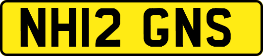 NH12GNS