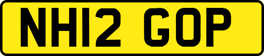 NH12GOP