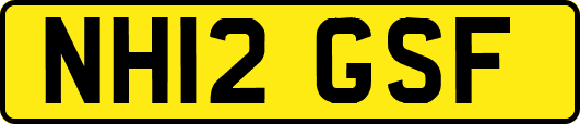 NH12GSF