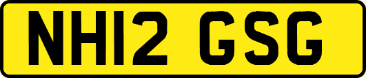 NH12GSG