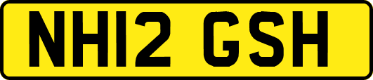 NH12GSH