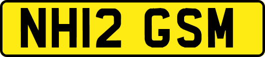NH12GSM