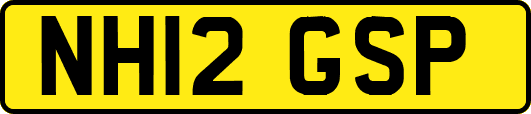 NH12GSP