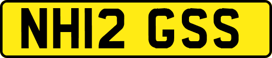 NH12GSS