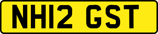 NH12GST