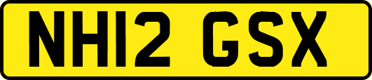NH12GSX