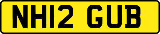 NH12GUB