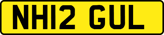 NH12GUL