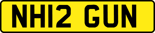 NH12GUN